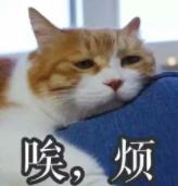DƬ